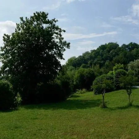 Du Tertre *