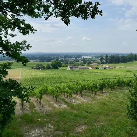 Hébergement de vacances Du Tertre Fronsac (Gironde)